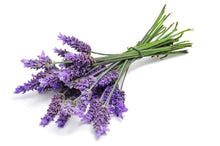 AROMA BLEND - RELAX & CALM
